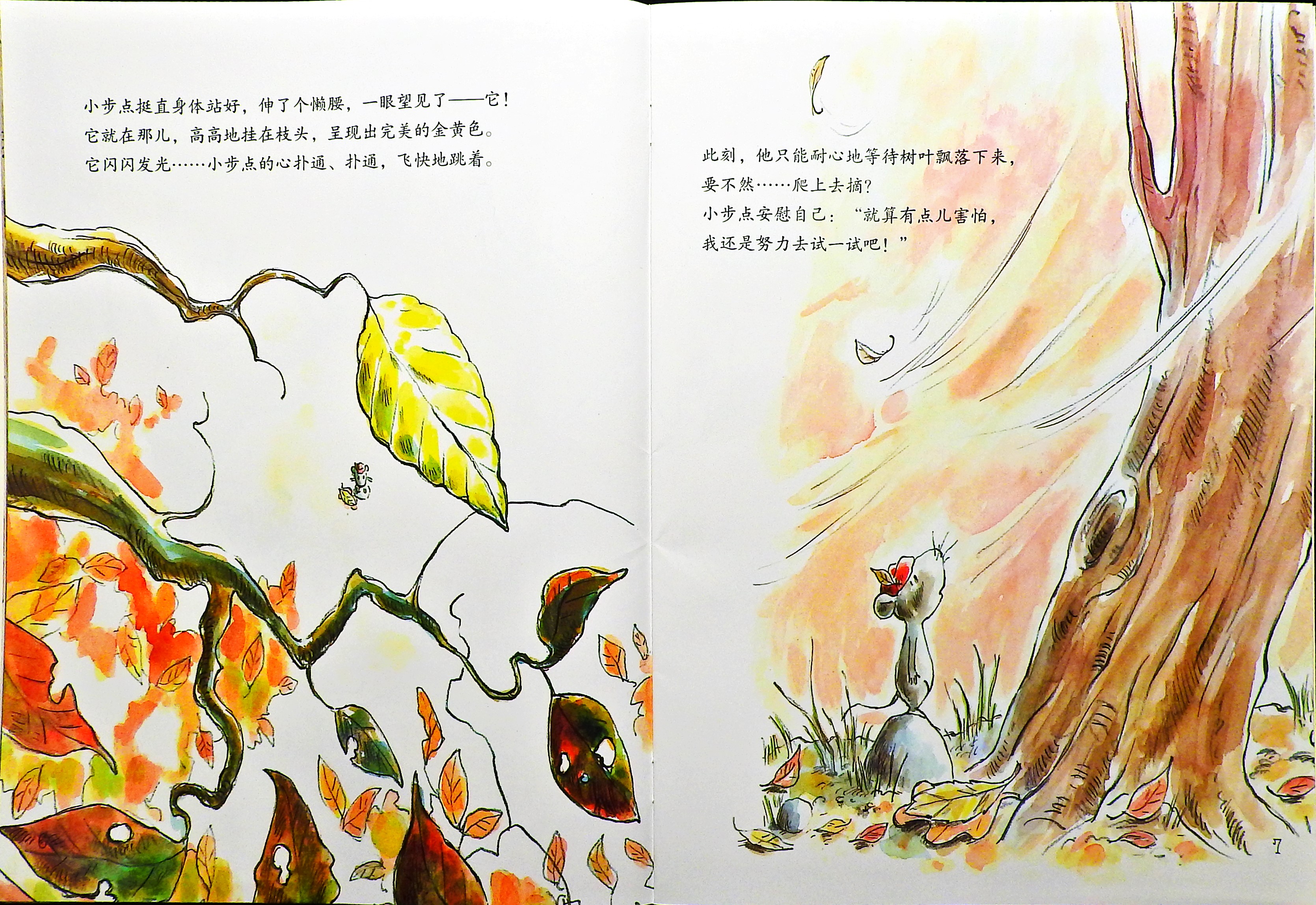 小步点的收藏品 (07),绘本,绘本故事,绘本阅读,故事书,童书,图画书,课外阅读
